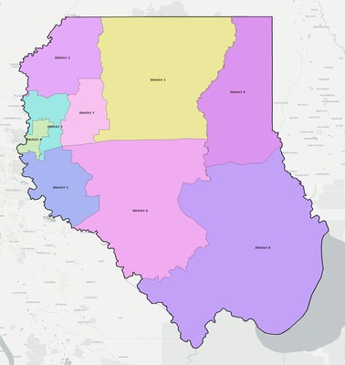 Livingston County LA townships and subdivisions map