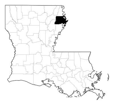 Madison County in Louisiana