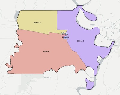 Madison County LA townships and subdivisions map