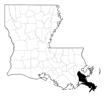 Plaquemines County in Louisiana