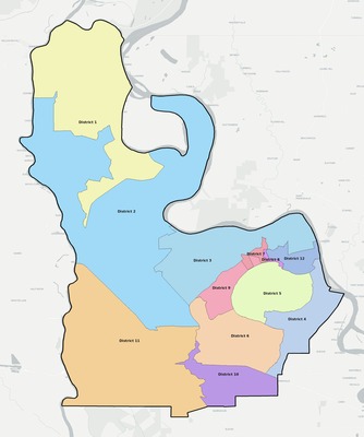 Pointe Coupee County LA townships and subdivisions map