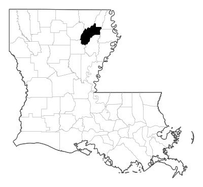 Richland County in Louisiana