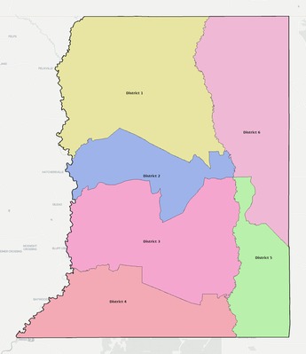 St. Helena County LA townships and subdivisions map