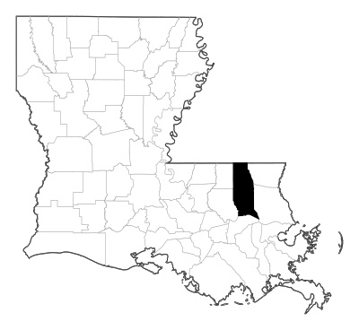 Tangipahoa County in Louisiana