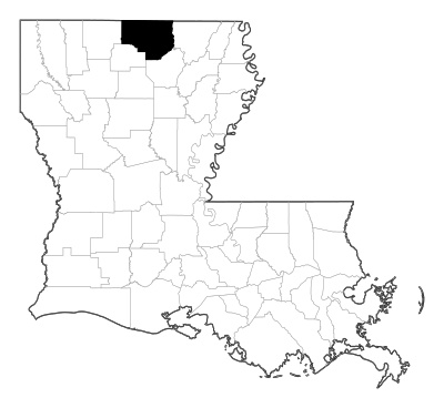 Union County in Louisiana