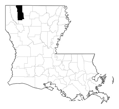 Webster County in Louisiana