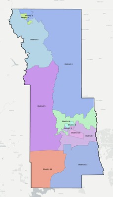 Webster County LA townships and subdivisions map