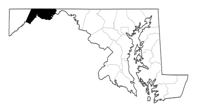 Allegany County in Maryland