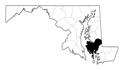 Dorchester County in Maryland