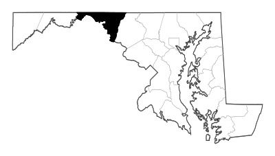 Washington County in Maryland