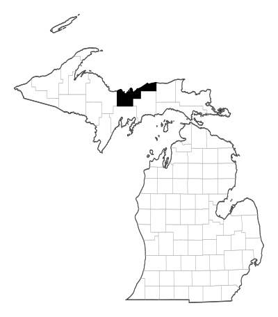 Alger County in Michigan