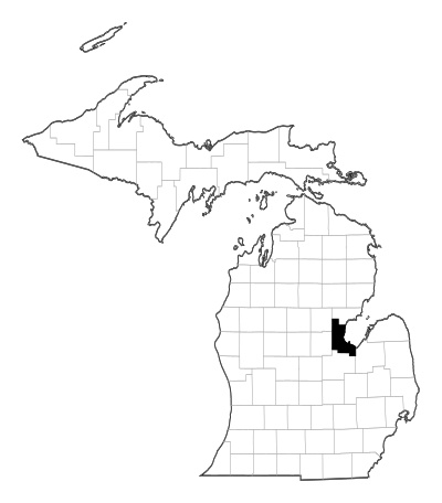 Bay County in Michigan