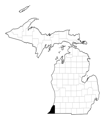 Berrien County in Michigan