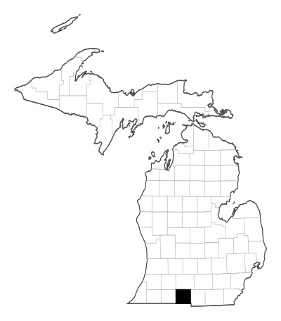 Branch County in Michigan
