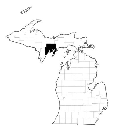 Delta County in Michigan