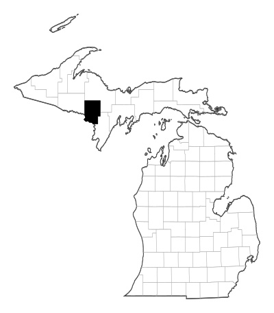 Dickinson County in Michigan