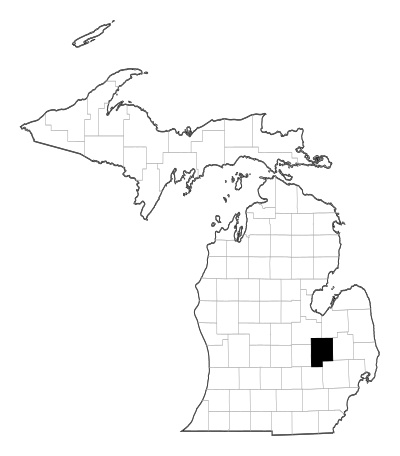 Genesee County in Michigan
