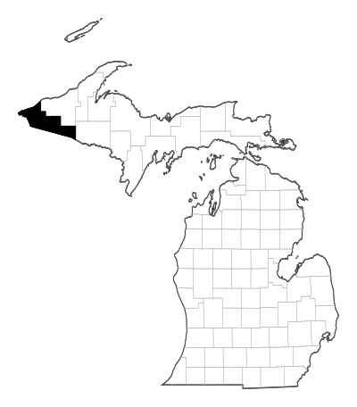 Gogebic County in Michigan