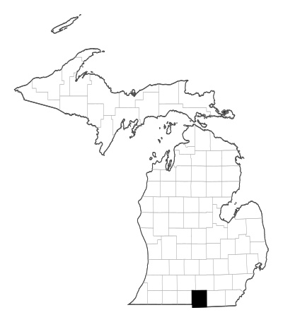 Hillsdale County in Michigan