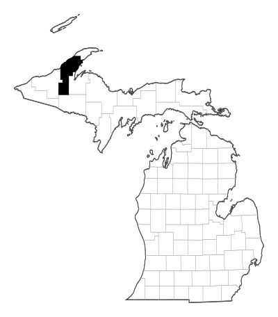 Houghton County in Michigan