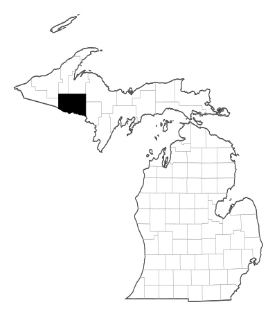 Iron County in Michigan