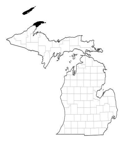 Keweenaw County in Michigan