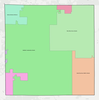 Lake County MI school district boundaries map