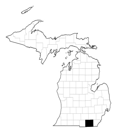 Lenawee County in Michigan