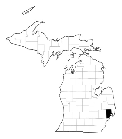 Macomb County in Michigan
