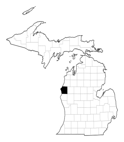 Mason County in Michigan