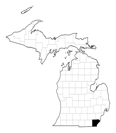 Monroe County in Michigan