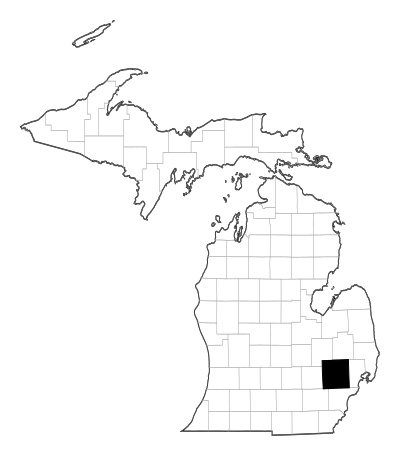 Oakland County in Michigan