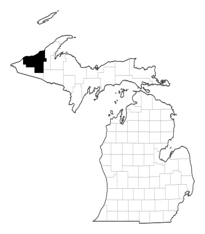 Ontonagon County in Michigan