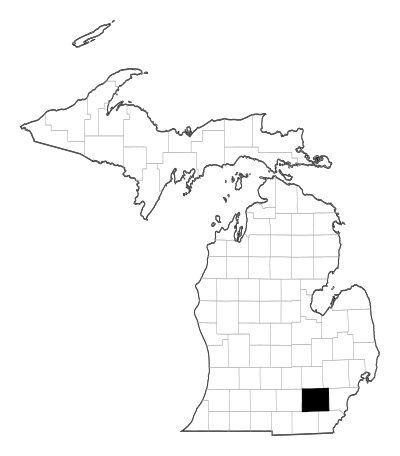 Washtenaw County in Michigan