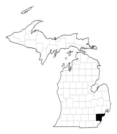 Wayne County in Michigan