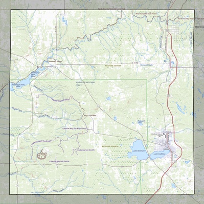 Wexford County MI USGS topo map