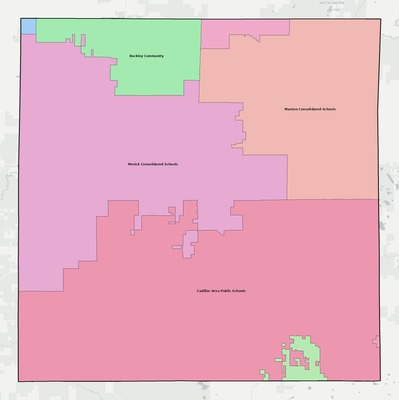 Wexford County MI school district boundaries map
