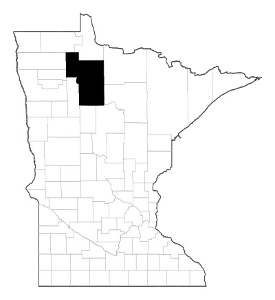 Beltrami County in Minnesota
