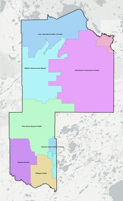 Cass County MN school district boundaries map