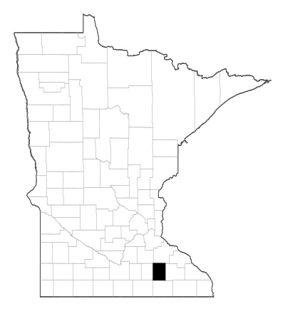 Dodge County in Minnesota