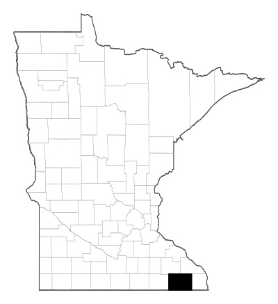 Fillmore County in Minnesota