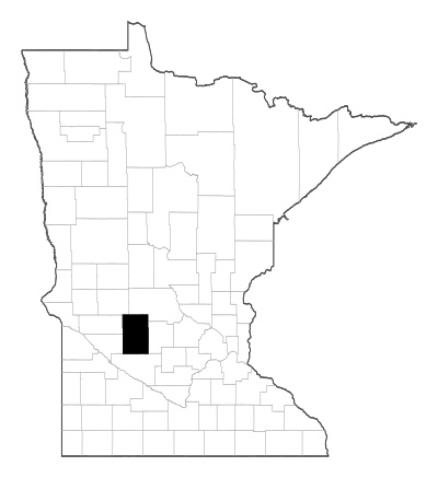 Kandiyohi County in Minnesota