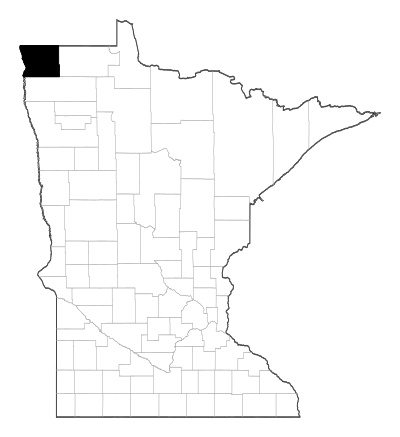 Kittson County in Minnesota