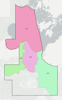 Lake of the Woods County MN ZIP code boundaries map