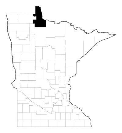 Lake of the Woods County in Minnesota