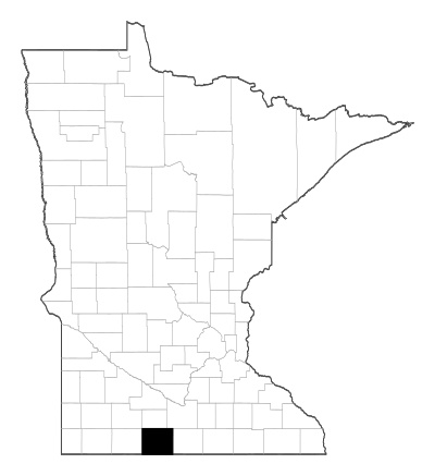 Martin County in Minnesota