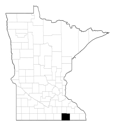 Mower County in Minnesota
