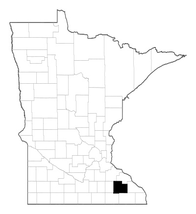 Olmsted County in Minnesota