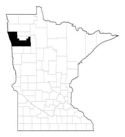 Polk County in Minnesota