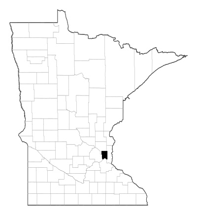 Ramsey County in Minnesota